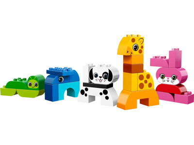 Creative Animals